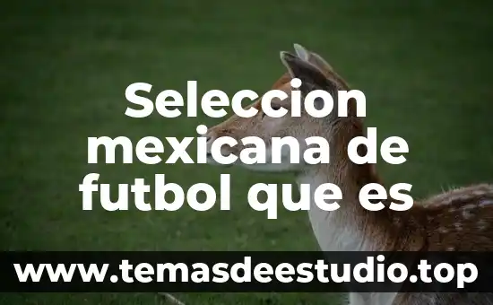 Qué es ser de la derecha en política mexicana 5 Seleccion mexicana de futbol que es