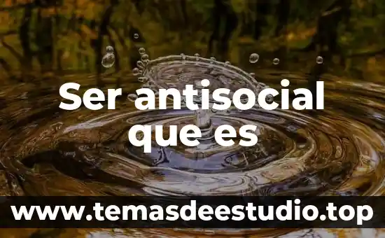 Que es ser arenosa kpop 6 Ser antisocial que es