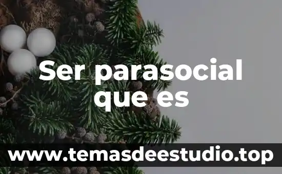 Que es significado atribuido 4 Ser parasocial que es