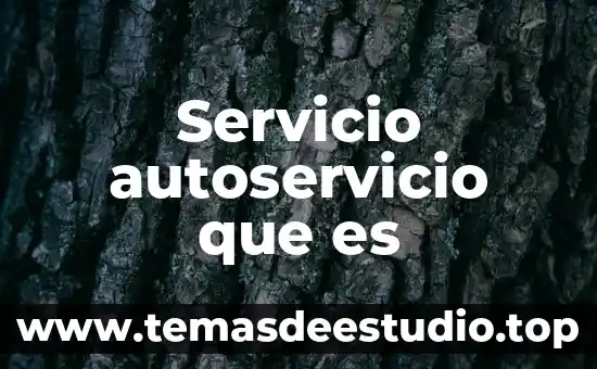 Que es el concepto en un servicio de luz 3 Servicio autoservicio que es