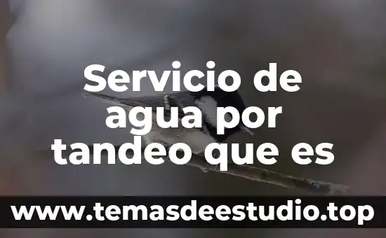 Que es soñar con agua sucia y barro 3 Servicio de agua por tandeo que es