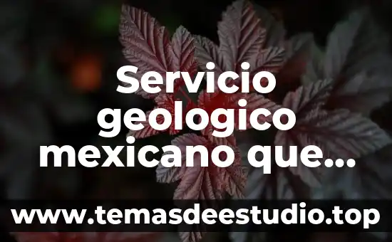 Servicio geologico mexicano que es y que hace