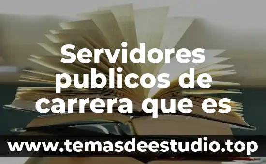 Que es la proteccion de los bienes publicos 7 Servidores publicos de carrera que es