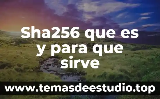 Para que es sirve una tesis 4 Sha256 que es y para que sirve