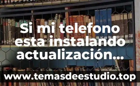 Que es mi patrimonio personal 4 Si mi telefono esta instalando actualización del sistema que es