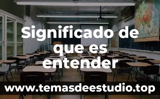 Panacea significado que es 5 Significado de que es entender