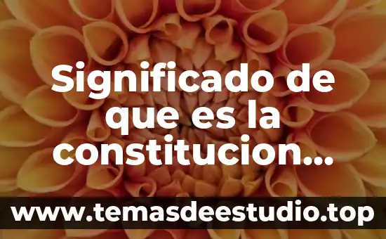 Que es erga omnes significado 6 Significado de que es la constitucion mexicana