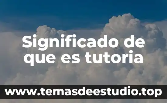 Que es el significado de simetria 3 Significado de que es tutoria