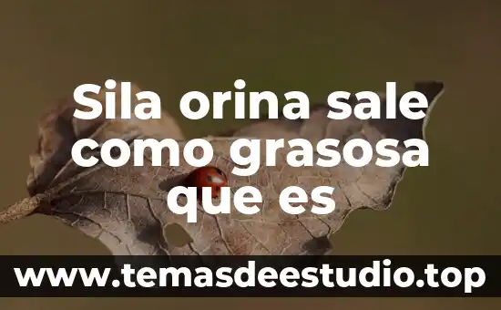Que es hot sale 2023 8 Sila orina sale como grasosa que es