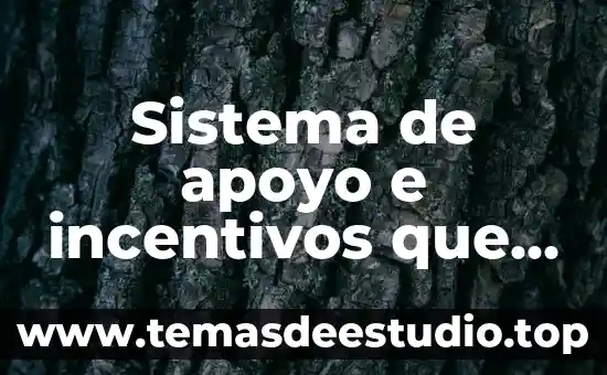 Que es la interpretacion en la realidad social 7 Sistema de apoyo e incentivos que es