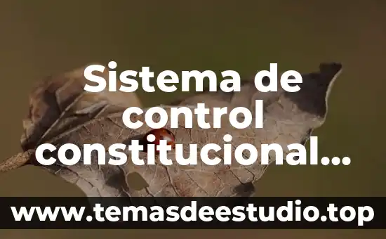 Sistema de control constitucional que es
