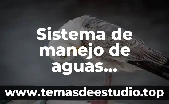 Qué es una planta tratadora de aguas negras o residuales 8 Sistema de manejo de aguas residuales que es