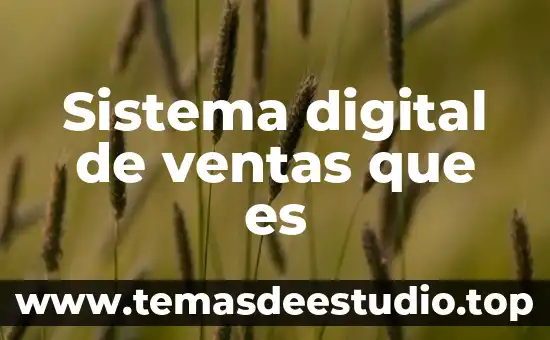 Sistema digital de ventas que es