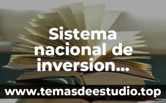 Qué es la identidad pública 7 Sistema nacional de inversion publica que es