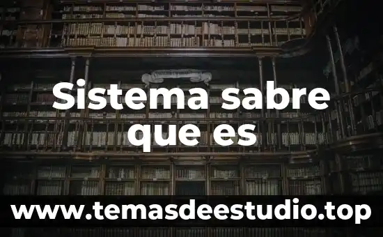 Por que es importante es tudiar la historia 7 Sistema sabre que es