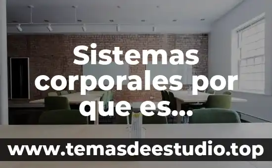 Qué es el occipital del cuerpo humano 7 Sistemas corporales por que es importante del cuerpo humano