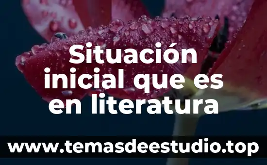 Situación problema que es 6 Situación inicial que es en literatura