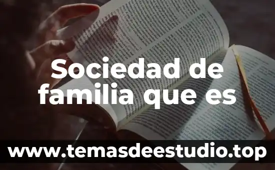 Sociedad de familia que es