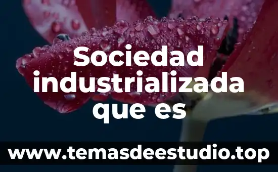 Que es sociedad en movimiento 5 Sociedad industrializada que es