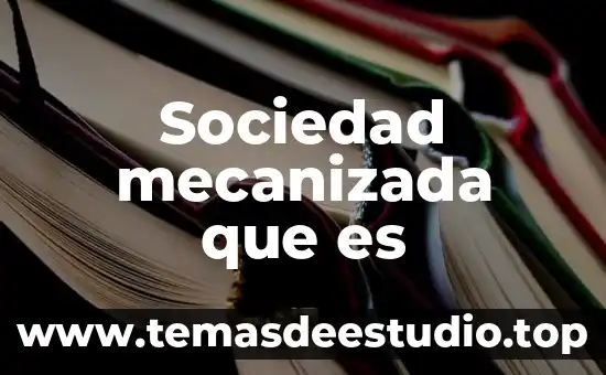 Qué es una sociedad etópica 8 Sociedad mecanizada que es