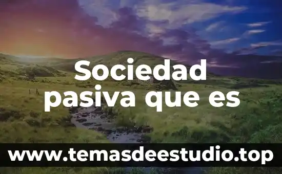 Que es la funcionalidad en la sociedad 5 Sociedad pasiva que es