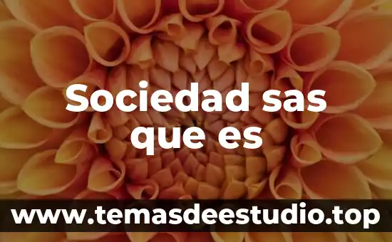 Sociedad sas que es