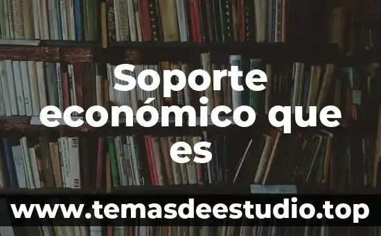 Soporte económico que es