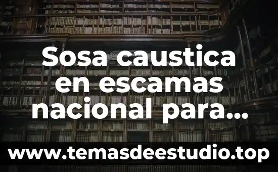 Que es la danza prehispanica nacional los voladores de papantla 6 Sosa caustica en escamas nacional para que es
