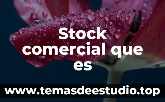 Nombre comercial factura que es 5 Stock comercial que es