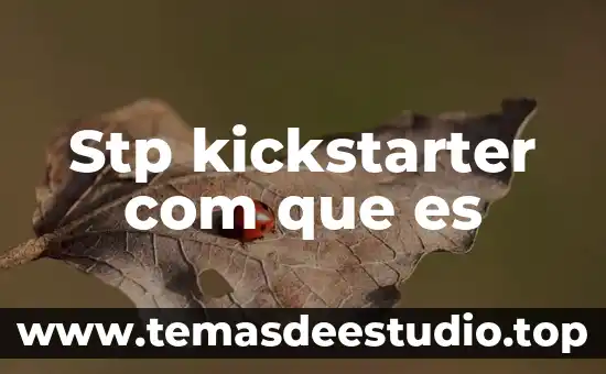 Que es com sonyconversation 7 Stp kickstarter com que es