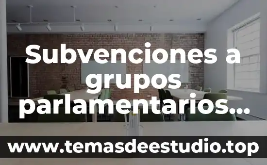 Que es la importancia de los grupos y asociaciones 8 Subvenciones a grupos parlamentarios que es