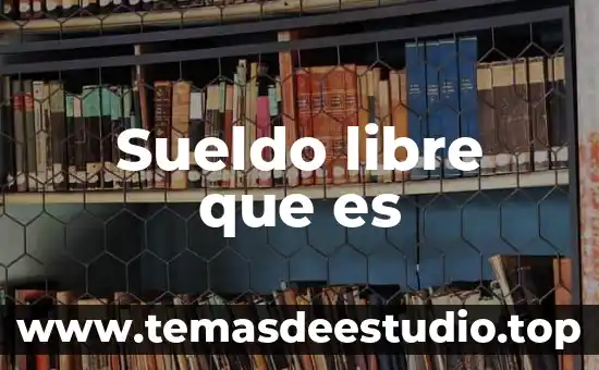 Sueldo libre que es