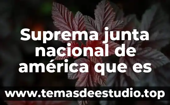 Que es el principio pro persona suprema corte de justicia 3 Suprema junta nacional de américa que es