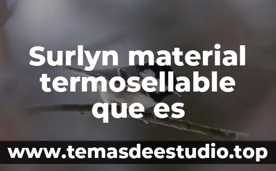 Surlyn material termosellable que es