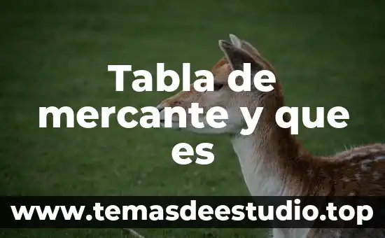 Que es una tabla de amortizacio flat 7 Tabla de mercante y que es