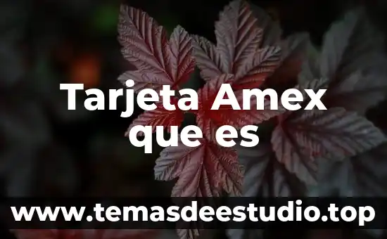 Que es el nombre de tarjeta 7 Tarjeta Amex que es