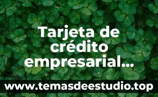 Qué es tarjeta osciloscopio 6 Tarjeta de crédito empresarial que es
