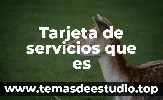 Que es el nombre de tarjeta 6 Tarjeta de servicios que es