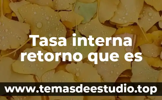 Que es y ejemplo de estrategia de retorno 5 Tasa interna retorno que es