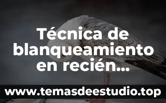 Que es bueno para el ombligo de un recien nacido 4 Técnica de blanqueamiento en recién nacidos que es