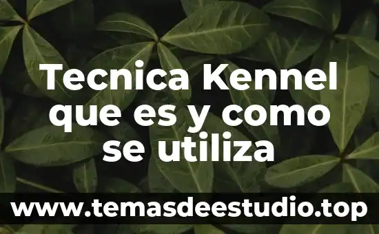 Que es ser buena o mala persona 5 Tecnica Kennel que es y como se utiliza