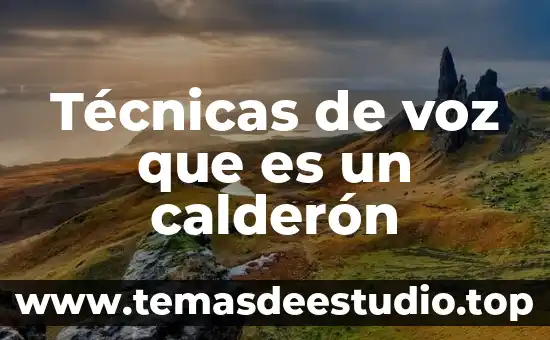 Técnicas de voz que es un calderón