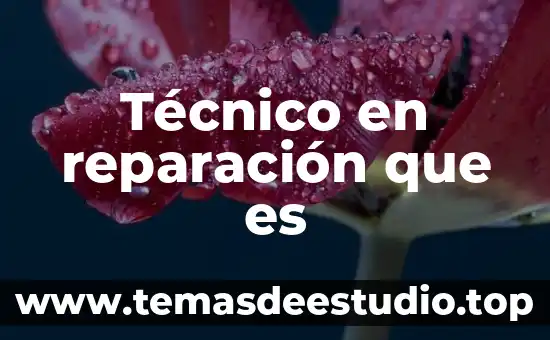 Que es un tecnico de pruebas 7 Técnico en reparación que es