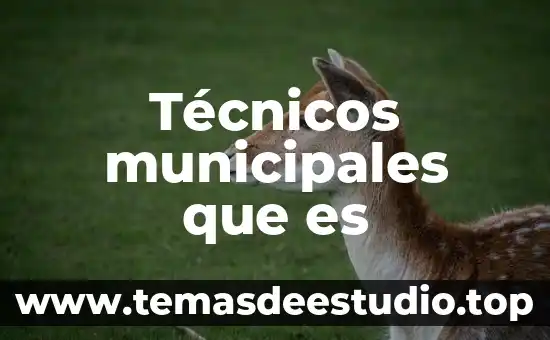 Que es aspectos técnicos empleados en la arquitectura bioclimática 5 Técnicos municipales que es