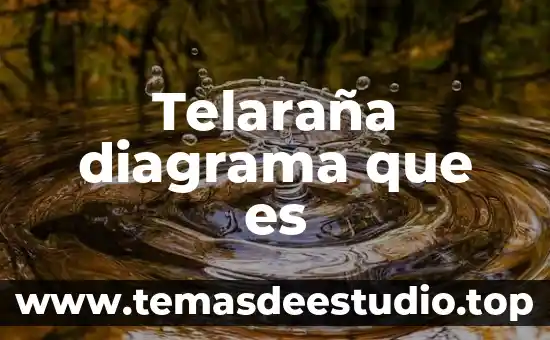 Que es el organizador grafico telaraña 8 Telaraña diagrama que es
