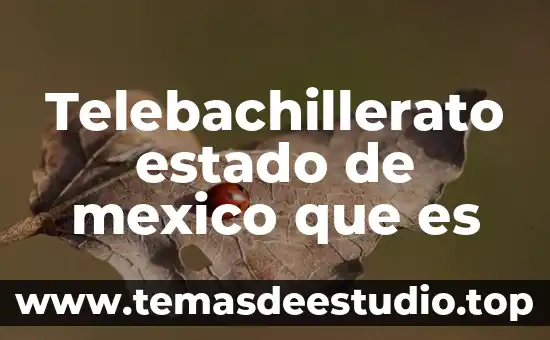 Telebachillerato estado de mexico que es