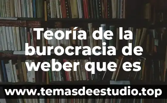 Teoría de la burocracia de weber que es