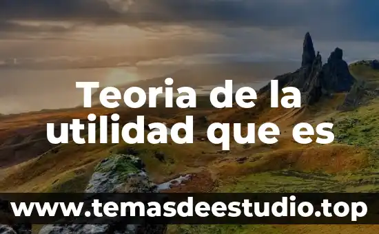 Que es la utilidad distribuible a favor de accionistas 3 Teoria de la utilidad que es