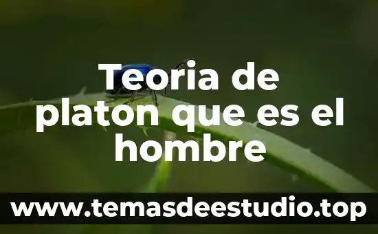 Que es color degradado hombre 5 Teoria de platon que es el hombre