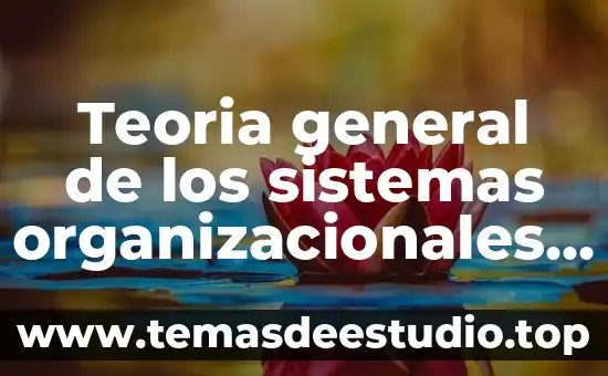 Qué es un número general 6 Teoria general de los sistemas organizacionales que es